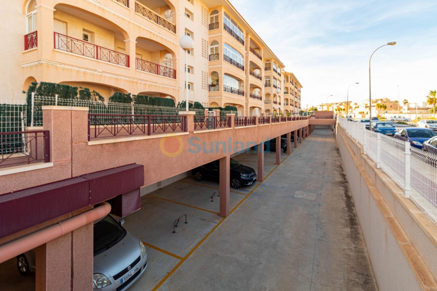 Använda fastigheter - Lägenhet - Orihuela Costa - Playa Flamenca