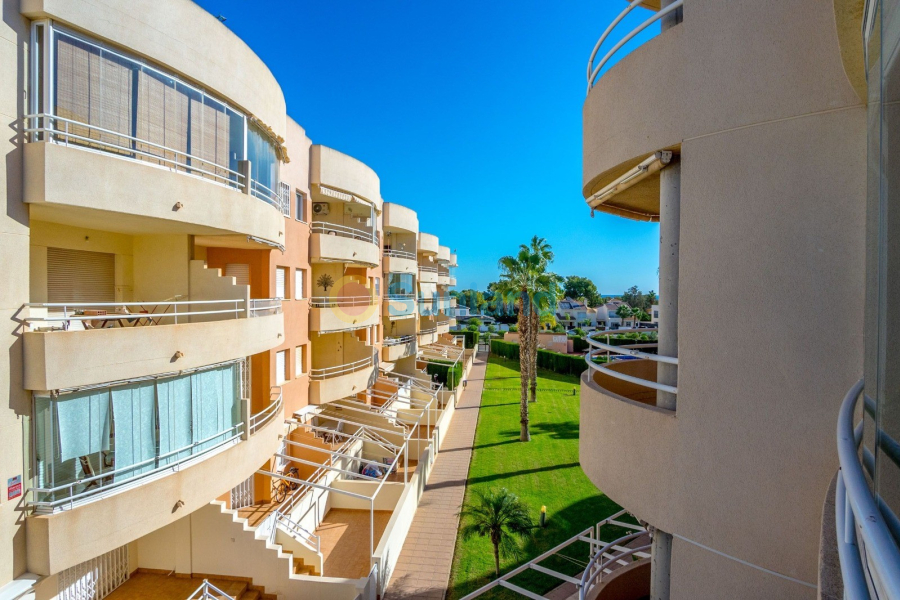 Segunda mano - Apartamento - Orihuela Costa - Dehesa De Campoamor
