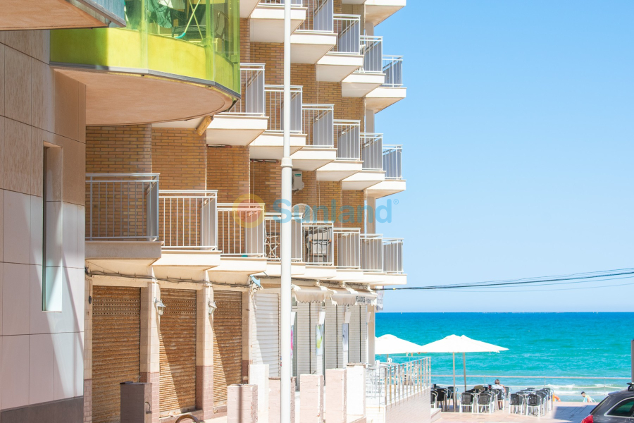 Brukte eiendommer - Leilighet - Guardamar del Segura