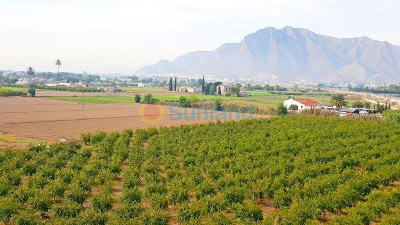 Resale - Finca - Callosa De Segura