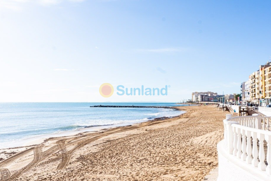 Nueva construcción  - Semidetached - Torrevieja - Lago Jardín II