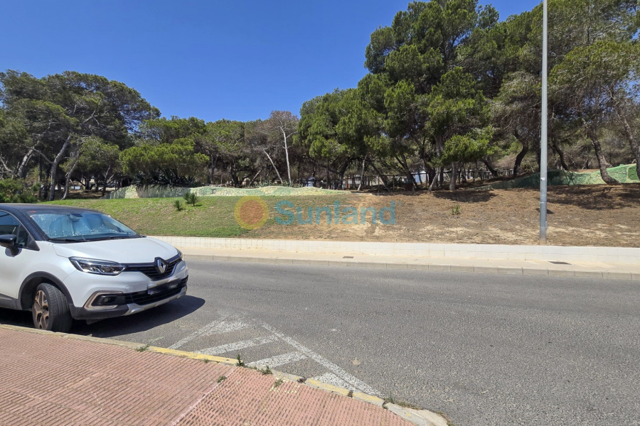 Brukte eiendommer - Land - Guardamar del Segura - Pueblo