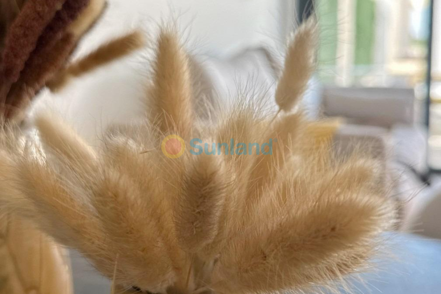 Ny bygg - Top Floor Bungalow - San Fulgencio - Pueblo