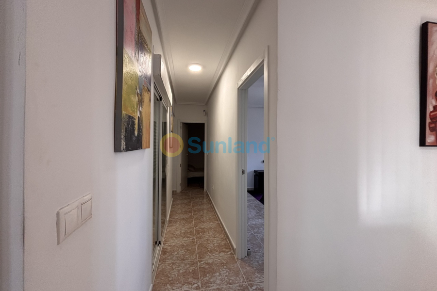 Brukte eiendommer - V - Benijofar