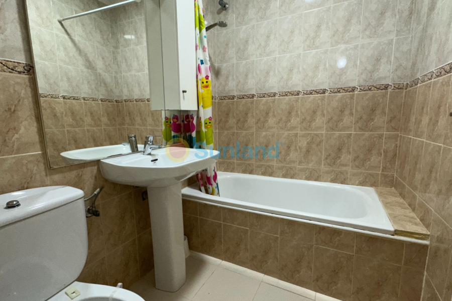 Använda fastigheter - Villa - San Fulgencio