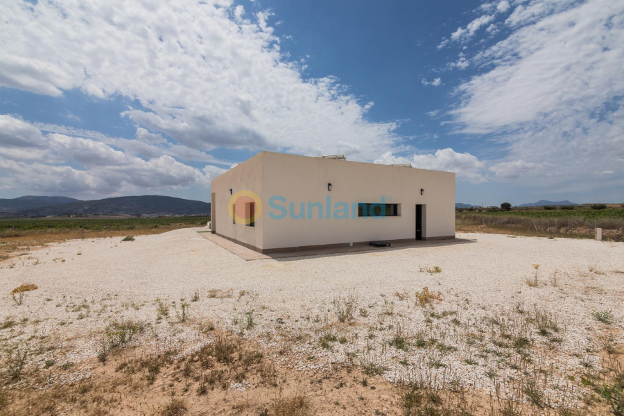 Nueva construcción  - Chalet - Pinoso - Lel