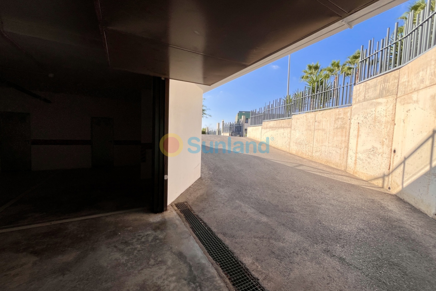 Segunda mano - V - Los Dolses