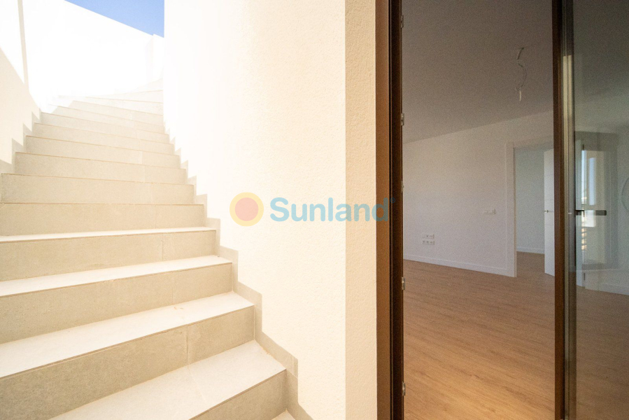 Segunda mano - Ático - Orihuela Costa - PAU 8