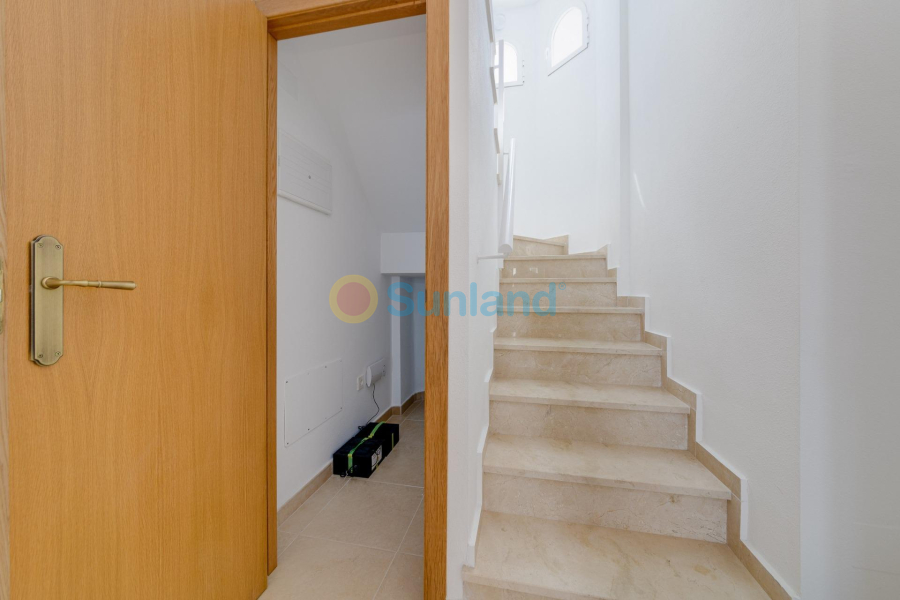 Ny bygg - Semidetached - San Fulgencio - El Oasis