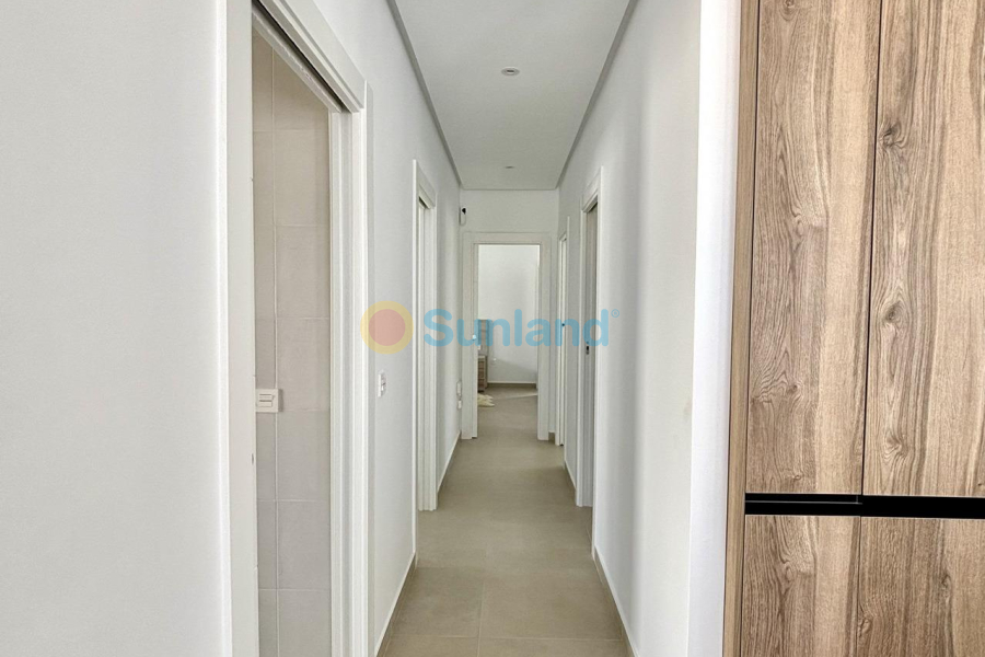 New Build - Villa - Benijofar - Pueblo