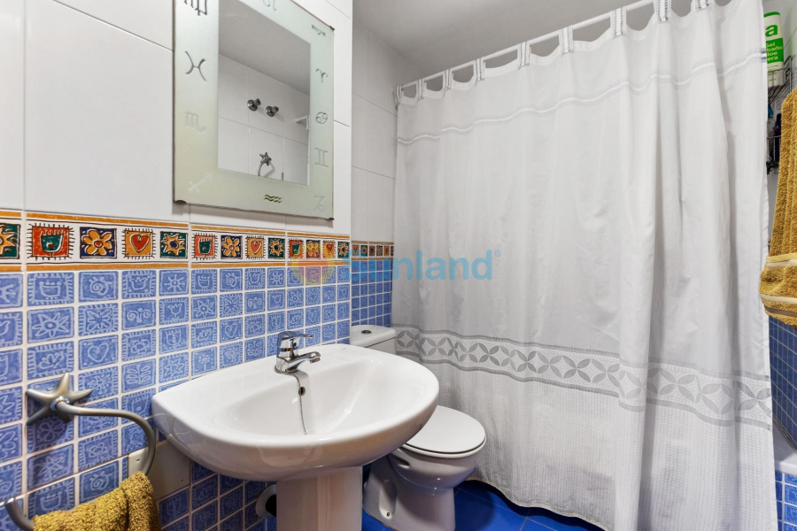 Segunda mano - Apartamento - Orihuela Costa - Campoamor