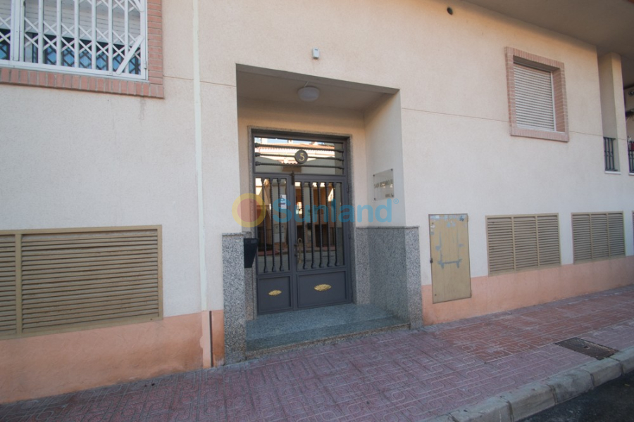 Segunda mano - Apartamento - Orihuela - San Isidro