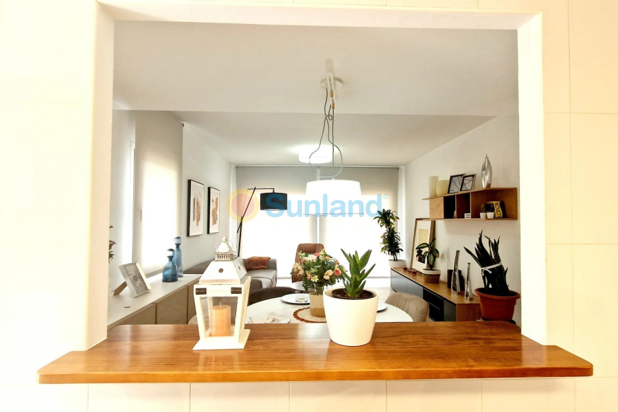 Ny bygg - Villa - Lorca - Purias