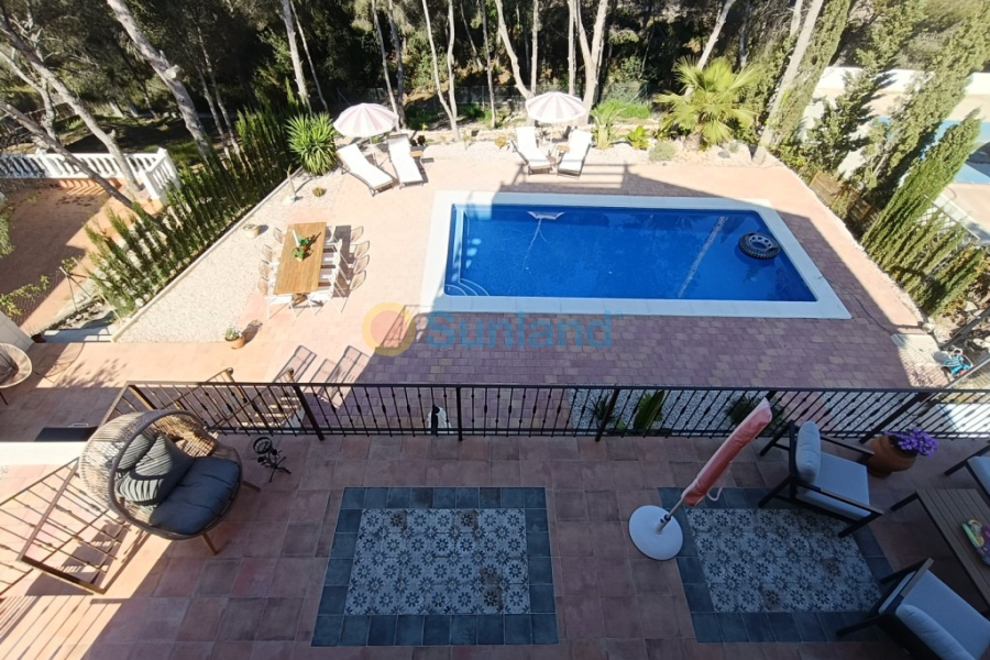 Verkauf - Haus - Pinar De Campoverde - 