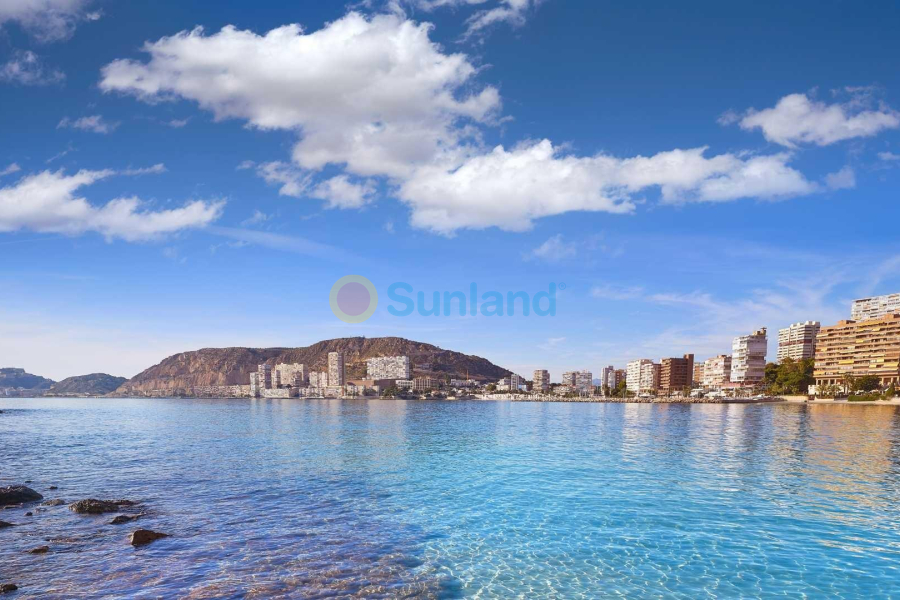 Ny bygg - Villa - Els Poblets - Partida Barranquets