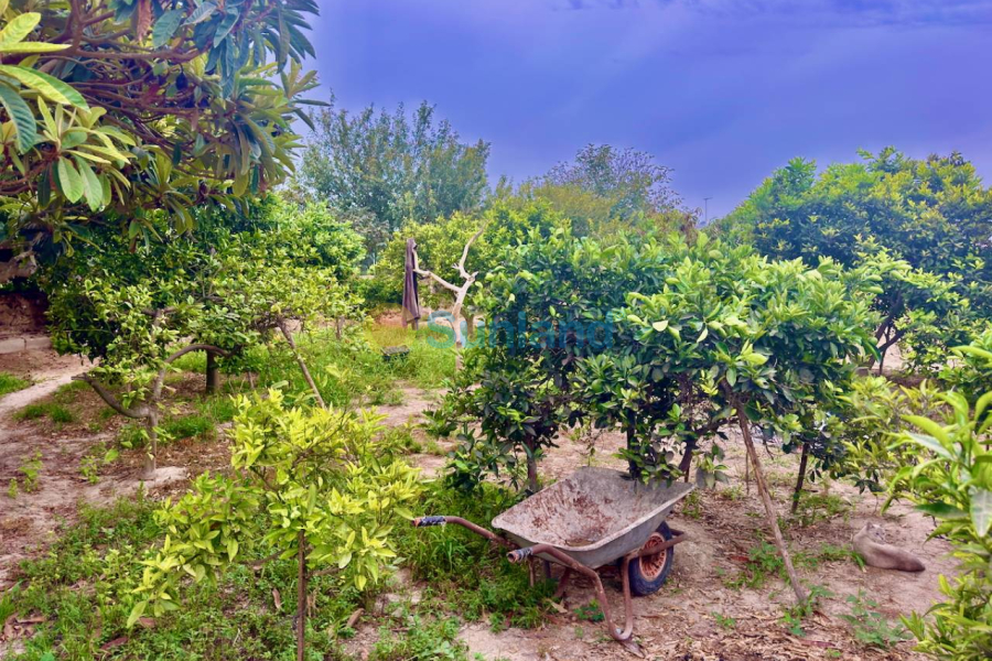 Resale - Country house - Rojales - 