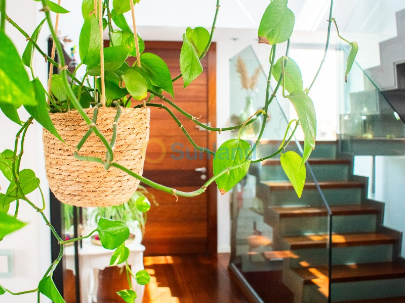 Använda fastigheter - Villa - San Javier - Santiago de la Ribera