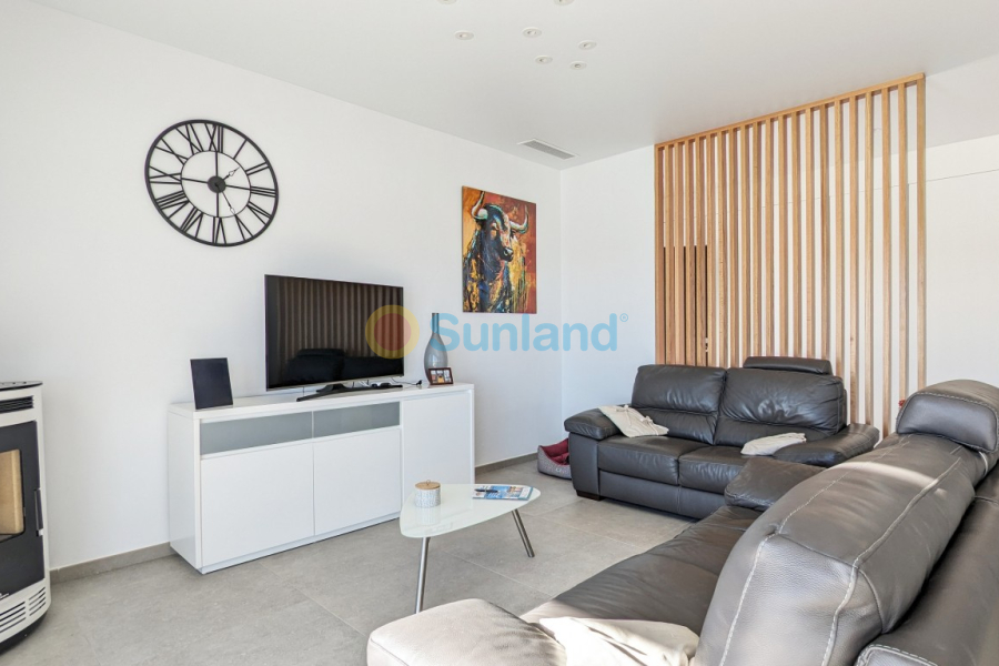 Använda fastigheter - Detached Villa - Torremendo