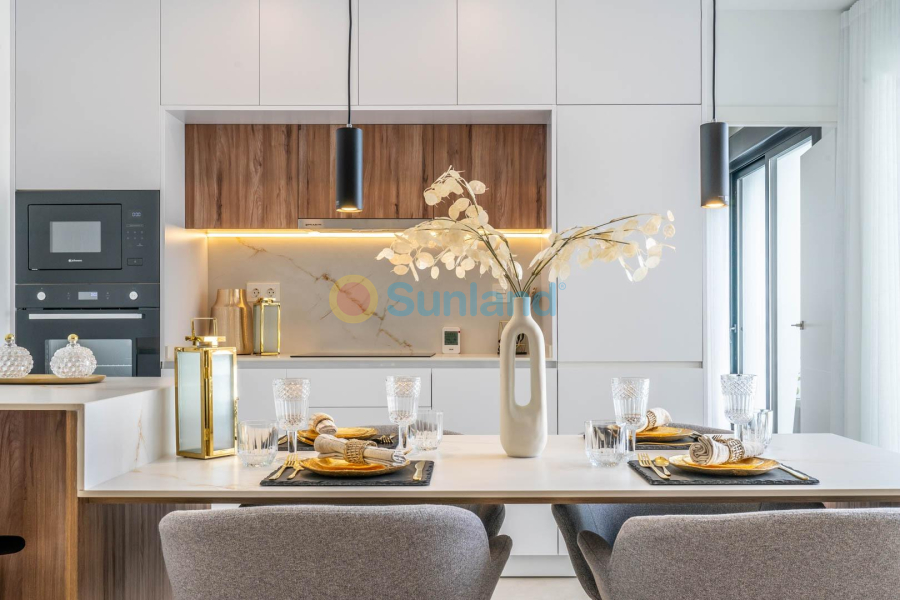 New Build - Villa - Torre Pacheco - Roldán