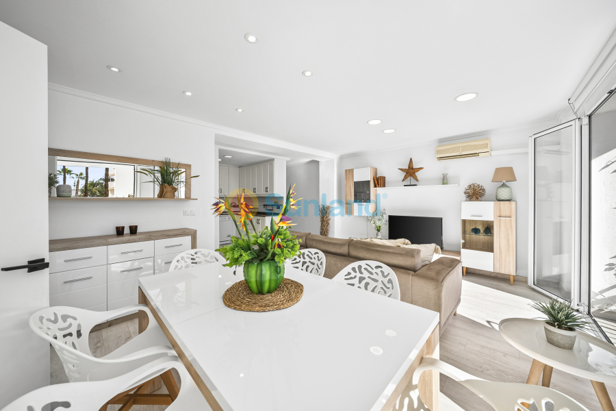 Segunda mano - Apartamento - Torrevieja - Puerto