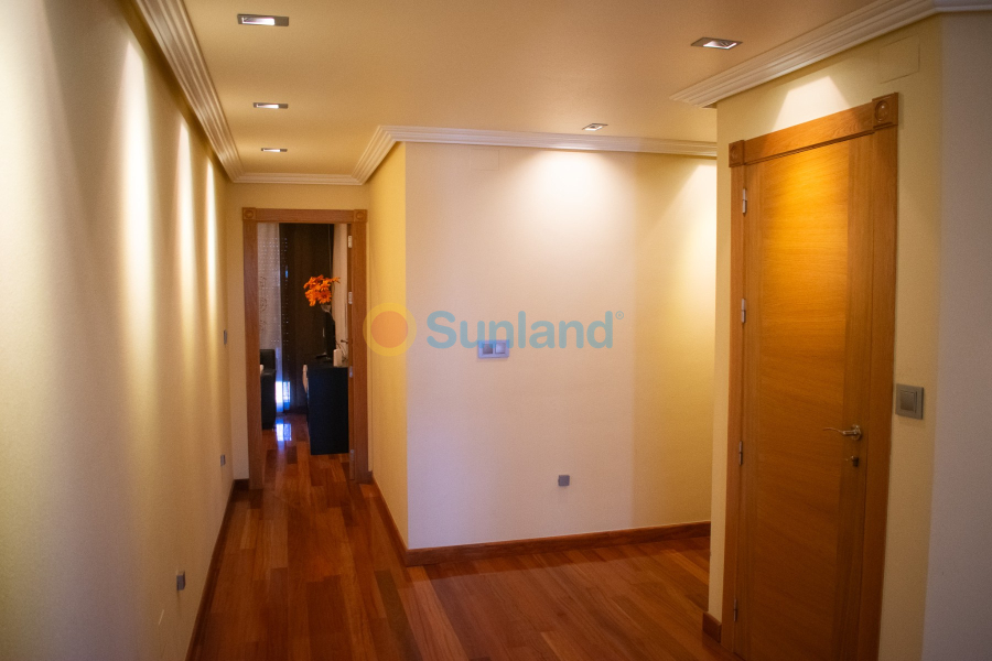 Segunda mano - Chalet - Orihuela - El raal