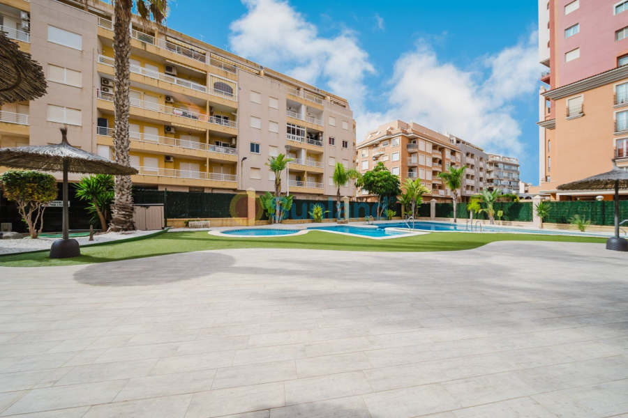 Resale - Apartamento - Torrevieja - Playa de Los Locos