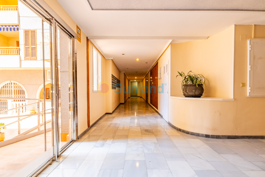 Segunda mano - Ático - Torrevieja - Acequion