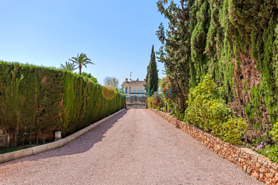 Resale - Villa - Elche - 