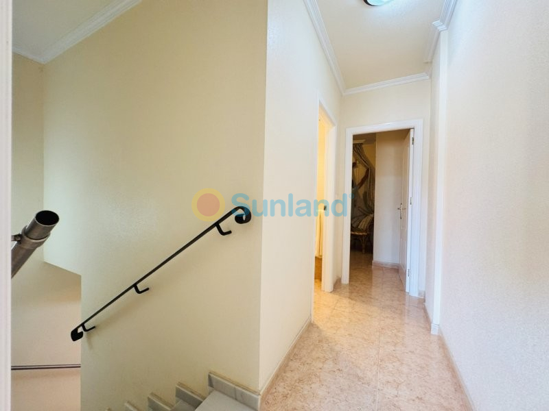 Segunda mano - Duplex - Torrevieja - Aguas Nuevas