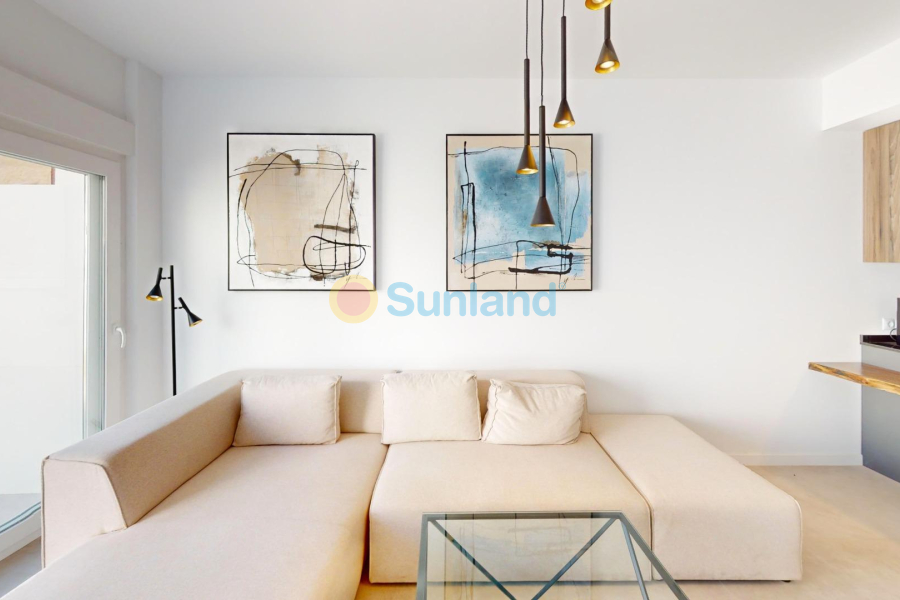 New Build - Penthouse - Pilar de la Horadada - pueblo