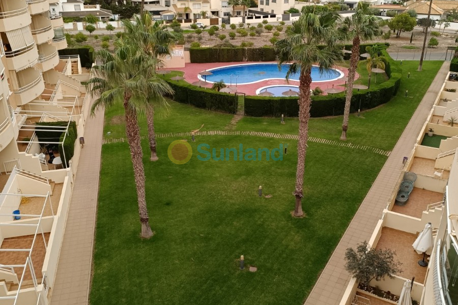 Segunda mano - Apartamento - Orihuela Costa - Dehesa De Campoamor
