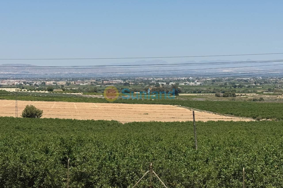 Resale - Villa - Algorfa - Lomas de La Juliana