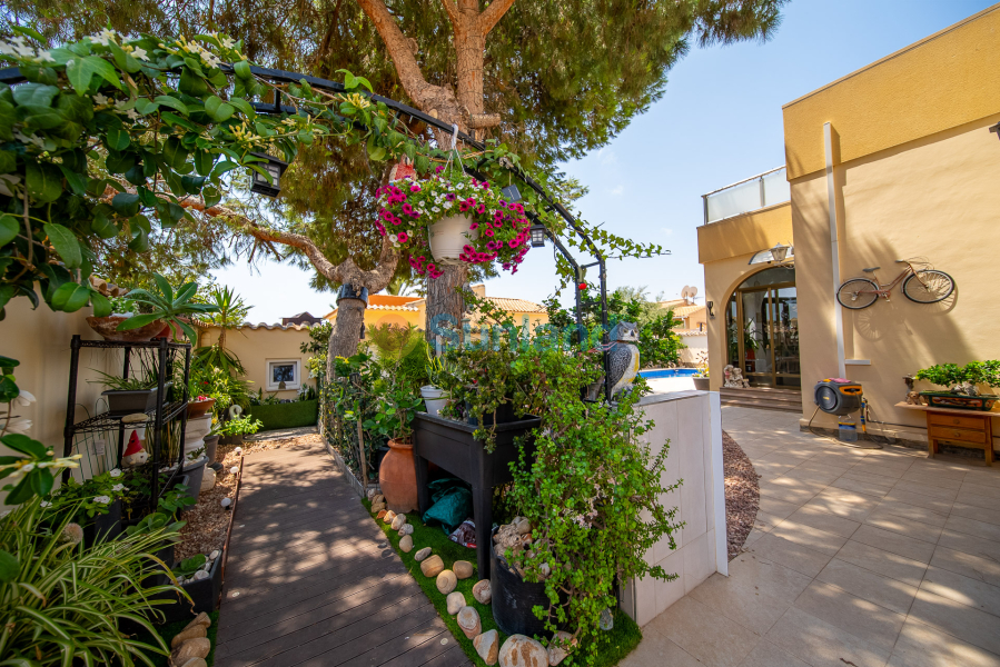 Verkauf - Haus - Orihuela Costa - La Florida