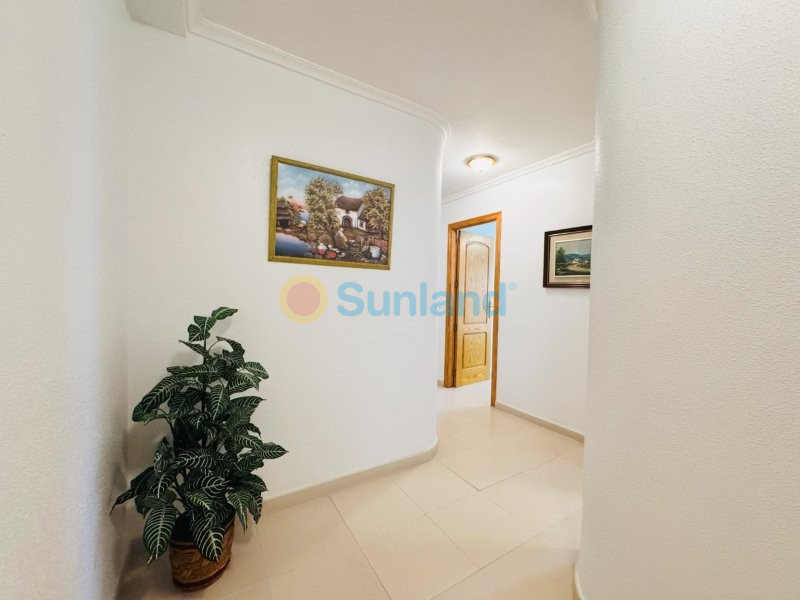 Resale - Apartment - La Mata