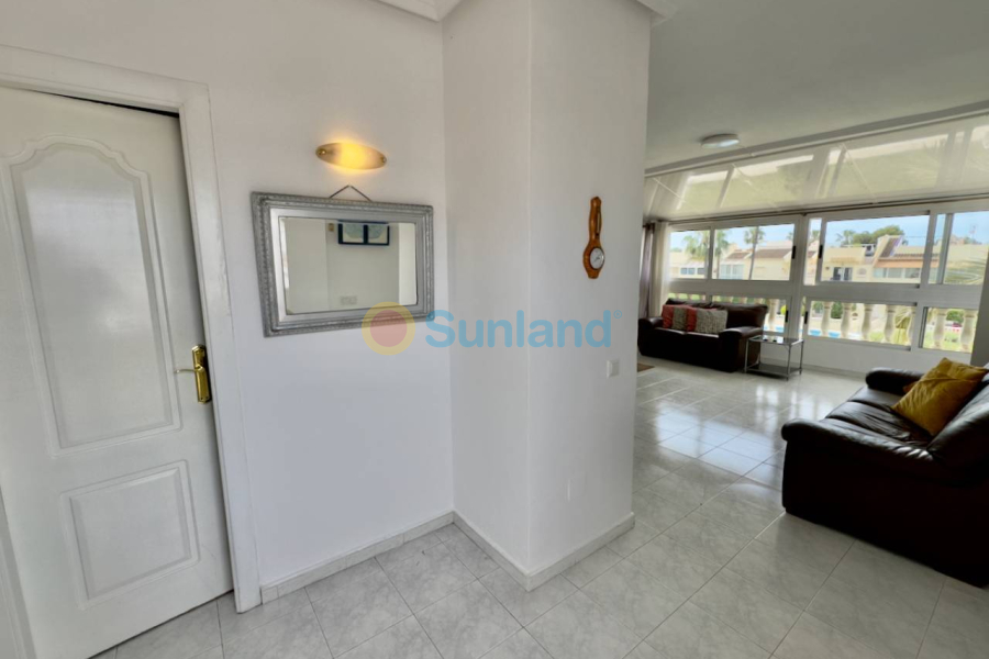 Segunda mano - Apartamento - Ciudad Quesada - Pueblo Bravo