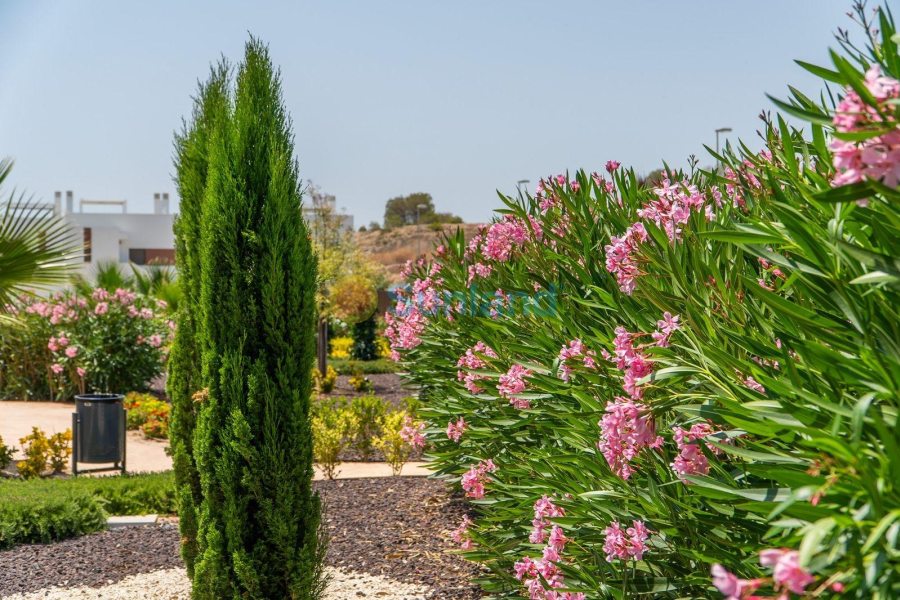 Nueva construcción  - Bungalow - Orihuela - Vistabella Golf