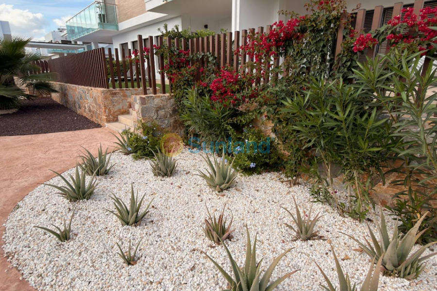 Brukte eiendommer - Leilighet - Orihuela - Vistabella