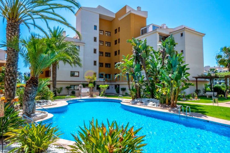 Resale - Apartment - Punta Prima - 