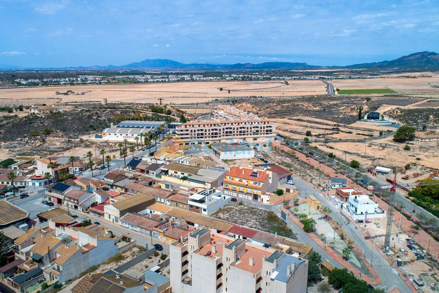 New Build - Semidetached - Sucina