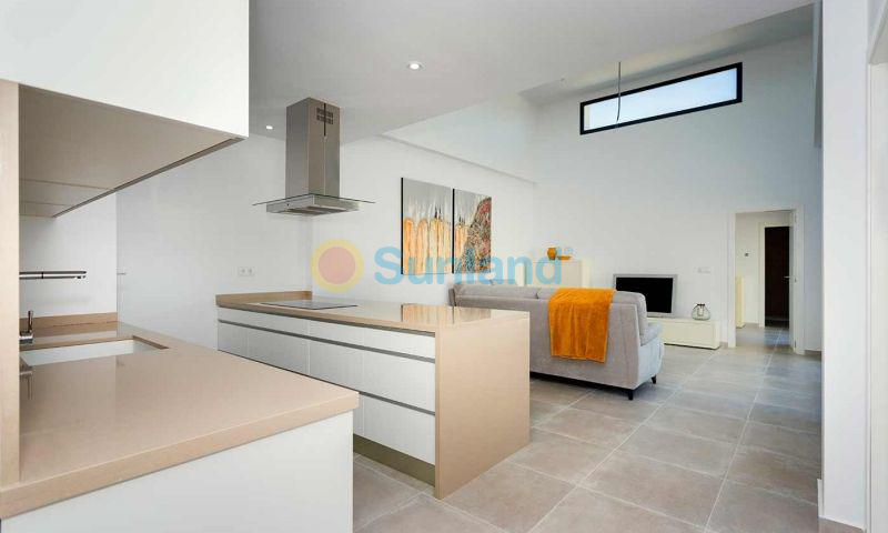 Ny bygg - Quad - Daya Nueva - CENTRO