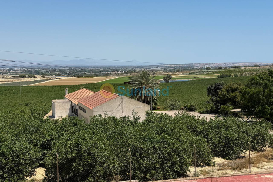 Resale - Villa - Algorfa - Lomas de La Juliana