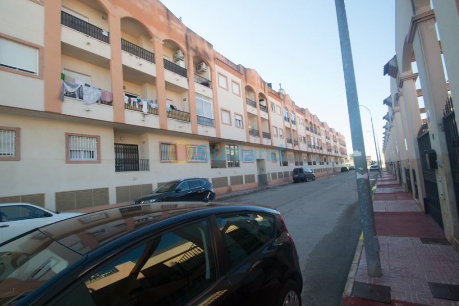 Segunda mano - Apartamento - Orihuela - San Isidro