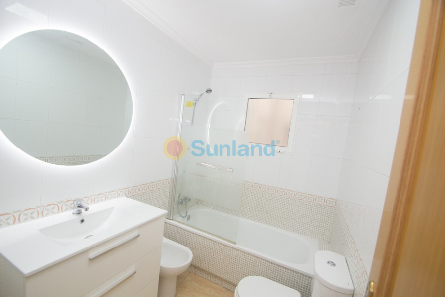 Segunda mano - Apartamento - Orihuela - San Isidro