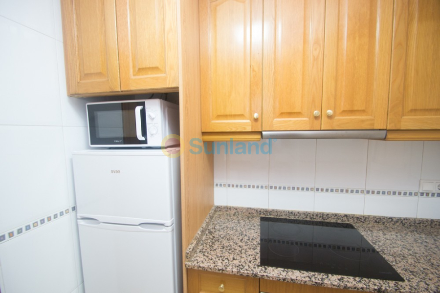 Segunda mano - Apartamento - Orihuela - San Isidro