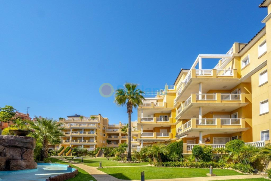 Resale - Penthouse - Orihuela Costa - Aguamarina