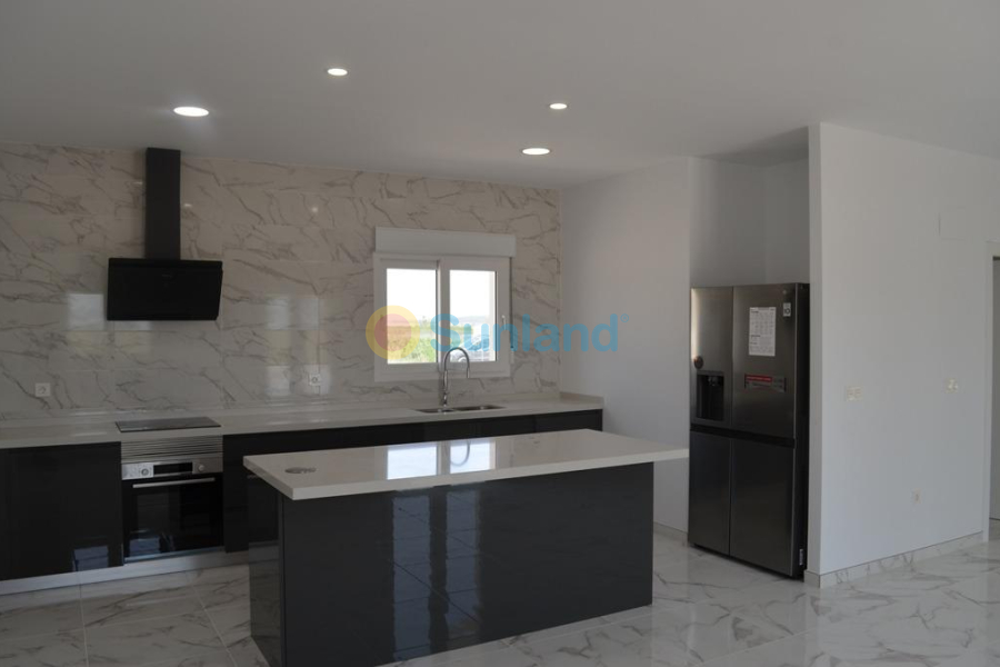 New Build - Villa - Pinoso - Camino Del Prado