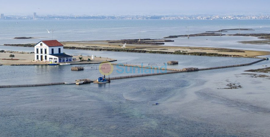 New Build - Villa - San Pedro del Pinatar - El salero