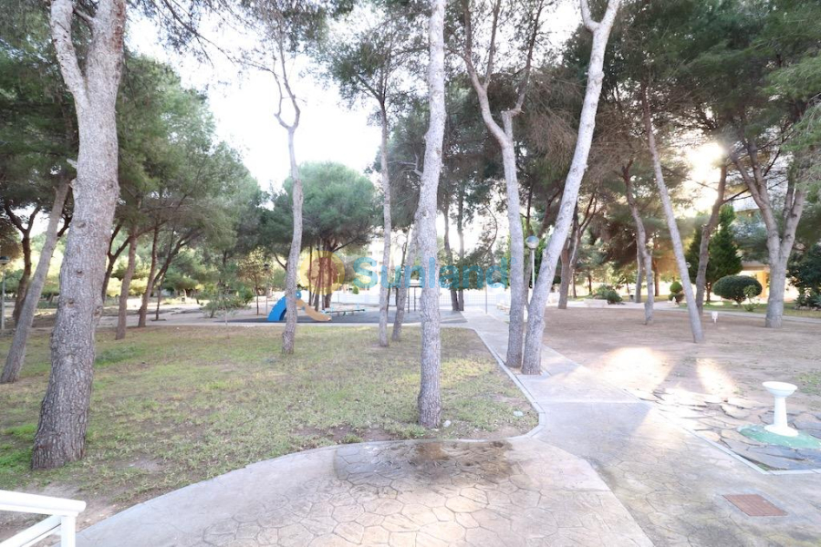 Segunda mano - A - Orihuela Costa - Campoamor