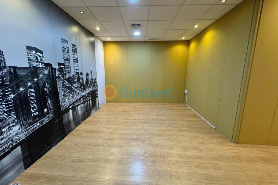 Använda fastigheter - Commercial space - Guardamar del Segura