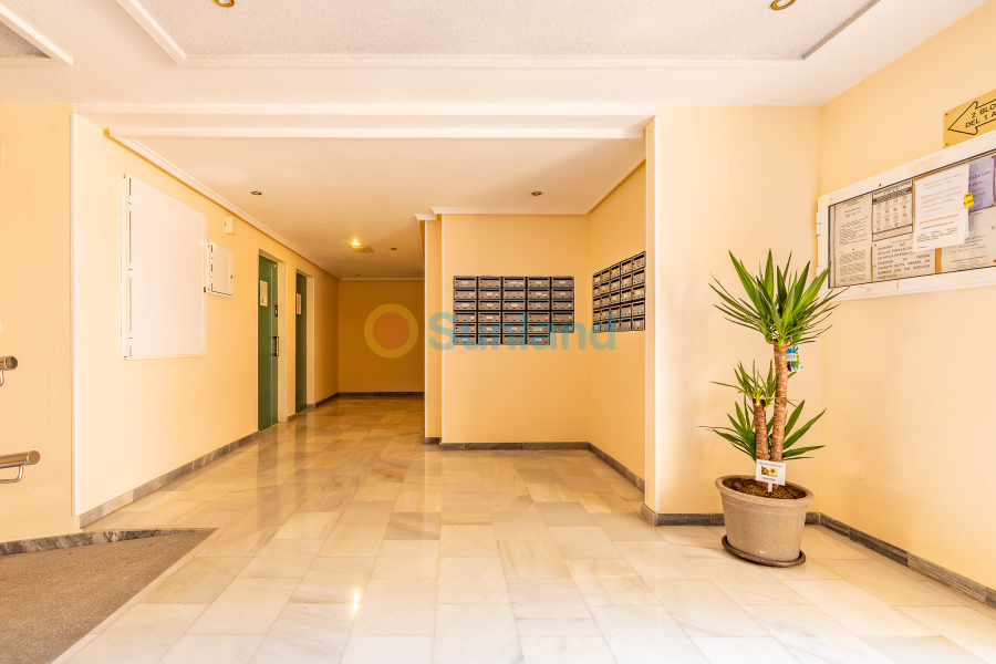 Segunda mano - Ático - Torrevieja - Acequion